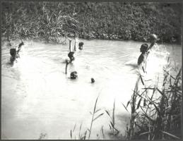 cca 1950-1960 Vízipóló, jelzés nélküli vintage fotó kartonon, 24x18 cm