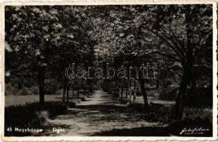 1941 Nagybánya, Baia Mare; liget / park, alley (EK)