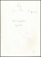 Lussa Vince (1924-2006): Akt fotó, hátulján pecséttel jelzett, 24x17 cm