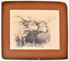 Olvashatatlan jelzéssel: Ökrök. Ceruza, papír, datált (924). Kartonra kasírozva, karton sérült, rajz...