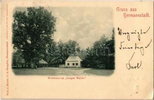 1900 Nagyszeben, Hermannstadt, Sibiu; Erdei vendéglő / Wirtshaus im Jungen Walde / Restaurant in Padurea Dumbrava (EK)