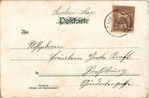 1904 Viel Glück im neuen Jahre! / New Year greeting art postcard, lady with pig. "ERIKA" N...