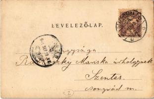 1901 Békéscsaba, Békés-Csaba; madártávlat. Corvina könyvkereskedés kiadása