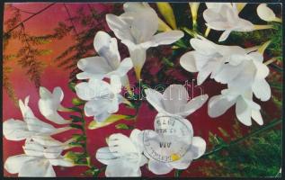 Amerikai Egyesült Államok 1975 United States of America 1975