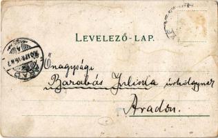 1900 Kiskunfélegyháza, Félegyháza; főgimnázium, városháza, Szt. istván templom, Feuer Lajos palotája...