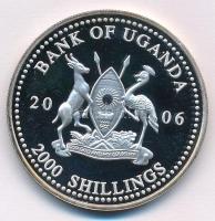 Uganda 2006. 2000Sh Ag "A labdarúgás halhatatlanjainak csarnoka - Dánia 1990-es évek / Peter Sc...