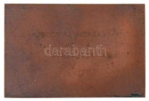 1940. "Pécsi Honvéd Tiszti Vívó Egyesület 1938" egyoldalas Br sport díjplakett, hátoldalon...