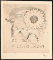 Pohárnok Zoltán (1905-1976): Ex libris Dr. Lustig István. Rézkarc, papír, jelzett, 10,5×10 cm