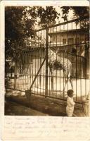1938 Pécs, Állatkert, zsiráf ketrec A zsiráfok etetése szigorúan tilos táblával. photo