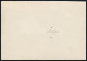 cca 1915 Nádkunyhó-tutaj építése, érdekes kortörténeti fotó, 8×12 cm