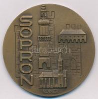 Renner Kálmán (1927-1994) 1977. "Sopron 700 éves" Br plakett (60mm) T:1-,2 ph