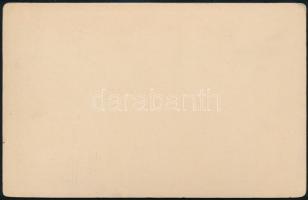 cca 1890 Allensteig, Ausztria, keményhátú fotó, C. Lux (Zwettl) fotós munkája, szép állapotban, 10,5...