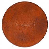 1998. "VITÉZAVATÁS EMLÉKÉRE KENDERES 1998." Br emlékérem, műanyag díszdobozban (42mm) T:1 ...