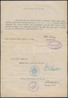 1942 Szirák, A lőrinci Szent Annához gyógyszertár tulajdonosa, Hollós Lászlóné által kiadott, a helyi tisztiorvos és községi orvos által láttamozott gyakornoki működési bizonyítvány, pecsételve, saját kezű aláírásával, hajtva, jó állapotban
