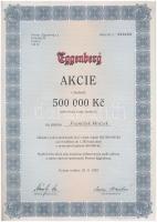 Csehország 1995. Eggenberg sörgyár részvénye 500.000K-ról T:I,I- Czech Republic 1995. Eggenberg brewery share about 500.000 Korun C:UNC,AU