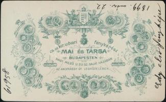 1899 Mai Manó által készített gyermekfotó játékmacskával, keményhátú fotó, szép állapotban, 10,5×6,5...