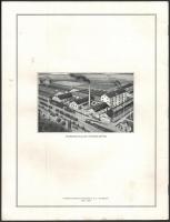 cca 1930 Eternit tető fedő műszaki leírás képekkel. 22p