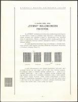 cca 1930 Eternit tető fedő műszaki leírás képekkel. 22p