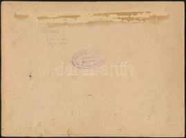 1906 Vélhetően a Fradi labdarúgó csapata feliratozott fotó MIhalik, Rutkai, Riesz, Hofmann, Schön. P...