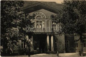 1917 Fehértemplom, Ung. Weisskirchen, Bela Crkva; Városháza. Haller Lajos kiadása / Rathaus / town hall (EK)