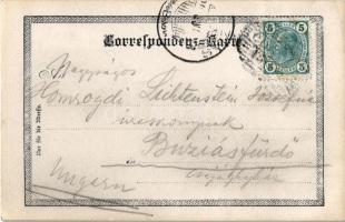 1905 Lago di Dobbiaco, Toblacher See (Südtirol); photo