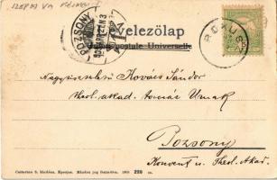 1905 Barlangliget, Höhlenhain, Tatranská Kotlina (Tátra, Magas Tátra, Vysoké Tatry); Landoki fahíd, ...