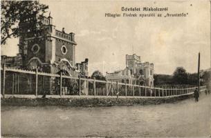 1913 Miskolc, Pfliegler Fivérek nyaralói az Avastetőn, Aranka nyaraló