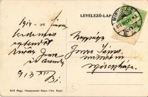 1913 Miskolc, Pfliegler Fivérek nyaralói az Avastetőn, Aranka nyaraló