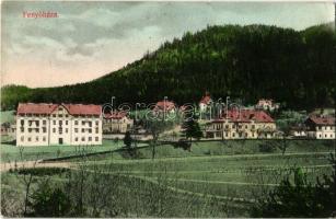 1909 Fenyőháza, Lubochna; nyaralók, szálloda. Nagy József kiadása / villas, hotel (EK)