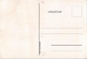 Budapest X. Kőbánya, Dr. Wander Gyógyszer és tápszergyár Rt., reklám; Keresztúri út 30-38. / Hungari...