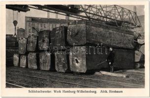 Hamburg-Wilhelmsburg, Schlobachwerke Werk, Afrik. Birnbaum / African pear tree, sawmill