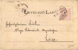 1899 Eperjes, Presov; Városháza, Vármegyeháza, Rákóczi ház, Kir. Törvényszék, üzletek. Divald kiadás...