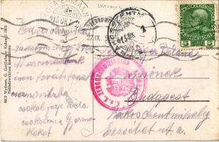 1915 Kolomyia, Kolomyja, Kolomyya, Kolomea; Rynek / square, Grand Hotel Bahr, shops of B. Helwing, K...