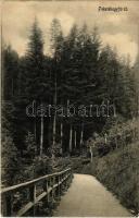 1918 Feketehegyfürdő, Feketehegy, Cernohorské kúpele (Merény, Vondrisel, Nálepkovo); erdő, út. Korbasz Vilma kiadása / forest, road