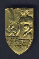 Német Birodalom 1930-as évek "N.S. Wohlfahrtsspende" Br kitűző, T:1/2