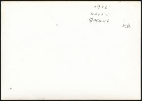 cca 1939-41 II. világháborús csoportkép a német Luftwaffe tisztjeivel, többek közt Ernst Udet (1896-...