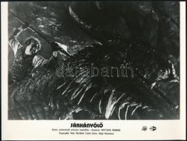 1981 Sárkányölő c. film werkfotója, 18x24 cm