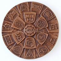 Csúcs Viktória (1934-) 1974. "Tudomány és Technika Háza Kecskemét" Br plakett (88mm) erede...