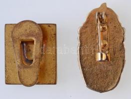 ~1932. "Nemzeti Egység Pártja" zománcozott Br gomblyukjelvény (16x19mm) + DN címeres jelvé...