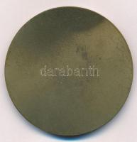 Franciaország DN "VILLE DE NEUILLY-PLAISANCE" egyoldalas, öntött Br plakett (50mm) T:1