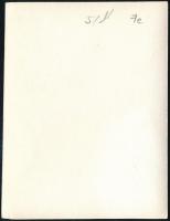 cca 1930-1940 Vitéz domjánszegi Domján Gábor legénységi arany vitézségi éremmel kitüntetett katona f...