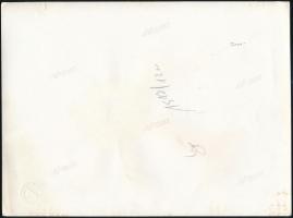 cca 1944 Horthy Miklós (1868-1957) kormányzó, és Oszlányi Kornél (1893-1960) vezérőrnagy, a katonai ...