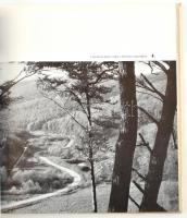 Kosály Márta (szerk.): Magyarország 25 év tükrében.  Bp., 1970, Panoráma. Kiadói egészvászon kötés. ...