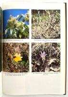 Dr. Juhász Árpád, Dr. Gál Éva: Budaer Bergland. Színes illusztrációkkal. Bp., é.n., Kunstverlag. Kia...