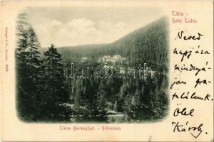 1899 Barlangliget, Höhlenhain, Tatranská Kotlina (Tátra, Magas Tátra, Vysoké Tatry);