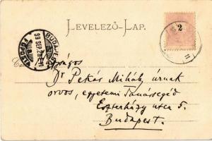 1899 Barlangliget, Höhlenhain, Tatranská Kotlina (Tátra, Magas Tátra, Vysoké Tatry);