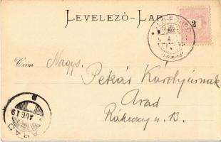 1899 Iglófüred, Bad Zipser Neudorf, Spisská Nová Ves Kupele, Novovesské Kúpele; szálloda, fürdő, nya...