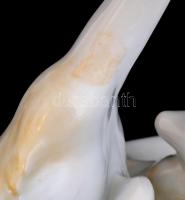 Herendi Kanalasgém pár. Kézzel festett, jelzett, javított, m:37 cm