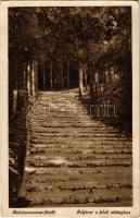 1927 Balatonszemes, feljárat a felső sétányhoz (Rb)