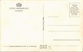 Szeretet. Csimpánzok puszilkodnak a budapesti állatkertben. Hölzel Gyula felvétele, kiadja Budapest ...